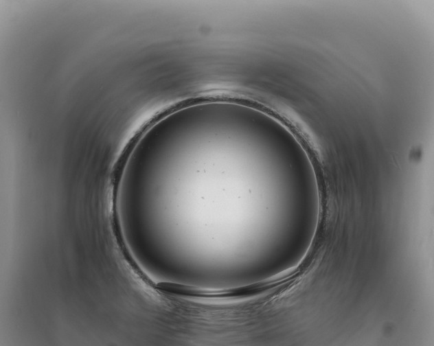 X0000094361376200711091505