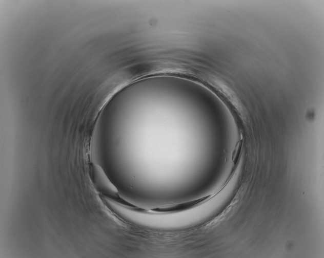 X0000094361377200711091505