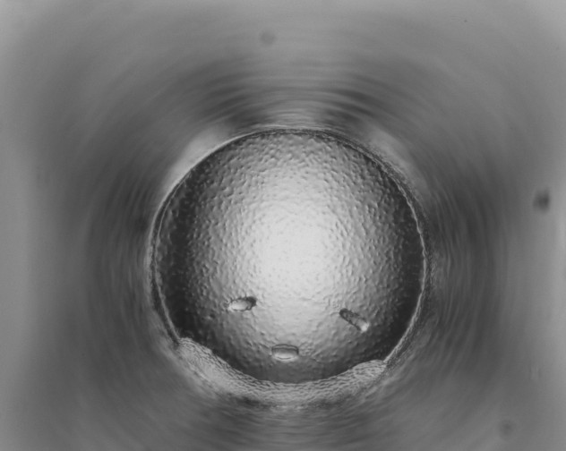 X0000094361378200711091505