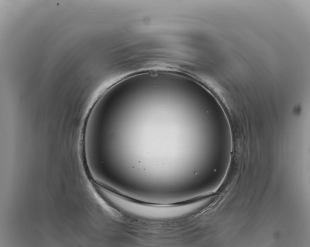 X0000094361379200711091505