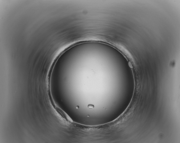 X0000094361380200711091505