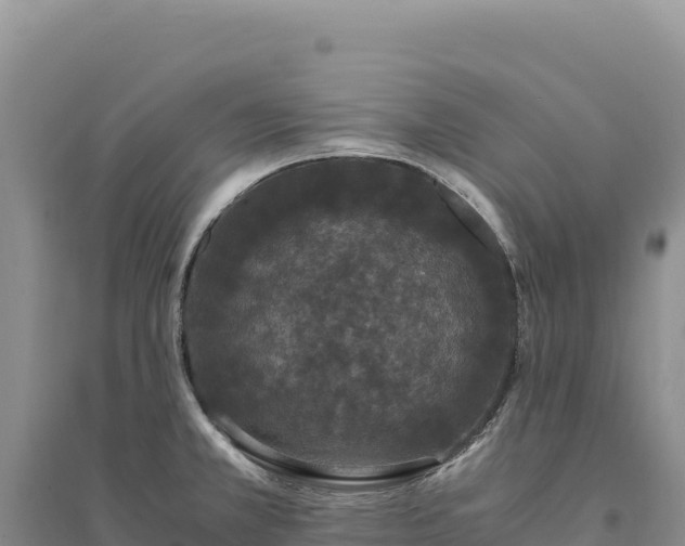 X0000094361381200711091505