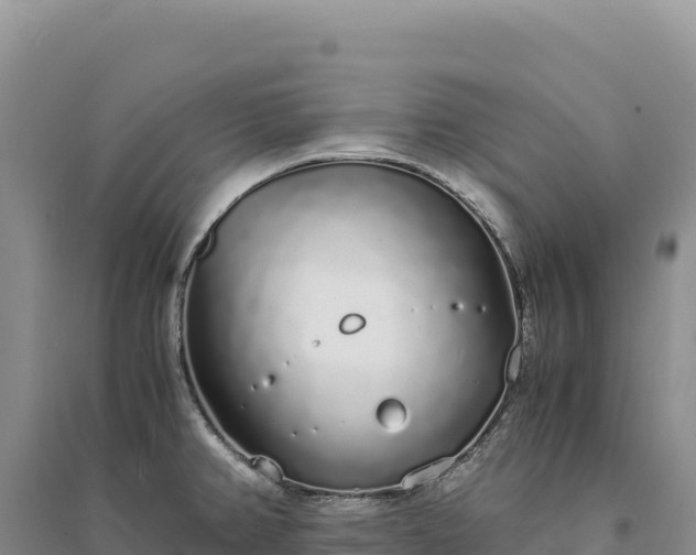 X0000094361382200711091505