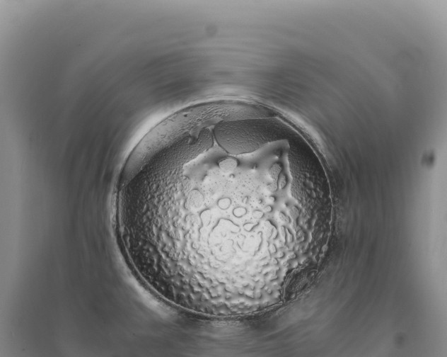 X0000094361383200711091505