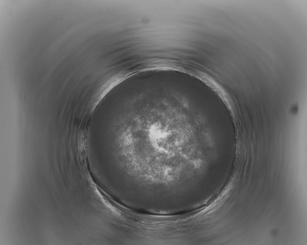 X0000094361385200711091505