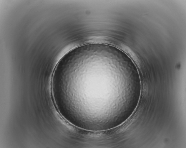 X0000094361386200711091505