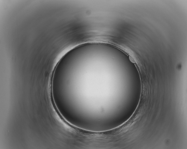 X0000094361387200711091505