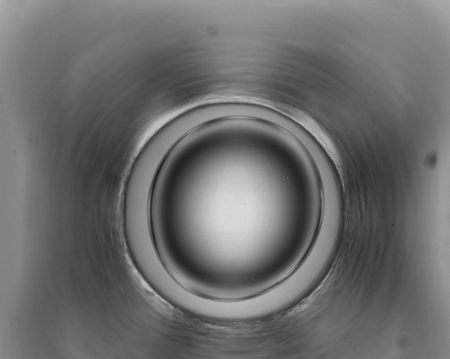 X0000094361388200711091505