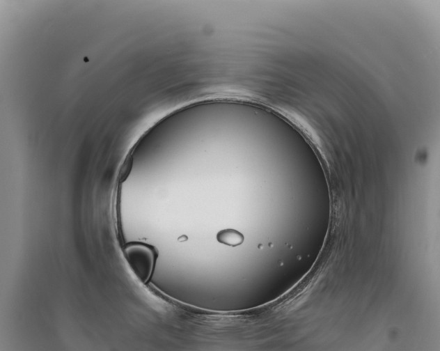 X0000094361391200711091505
