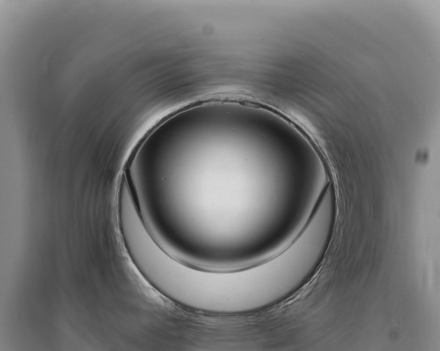 X0000094361392200711091505