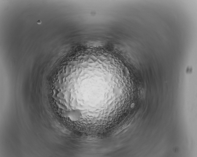 X0000094361393200711091504