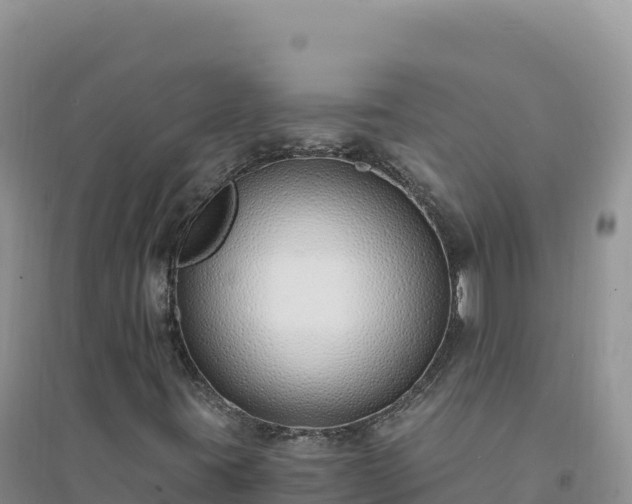 X0000094361395200711091504