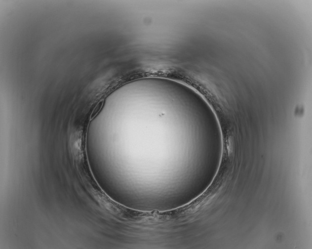 X0000094361396200711091504