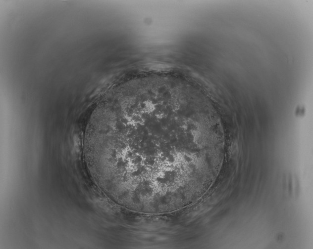 X0000094361397200711091504