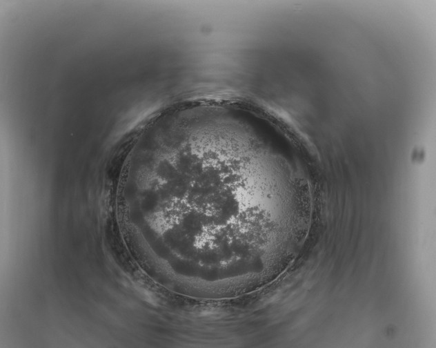 X0000094361399200711091504