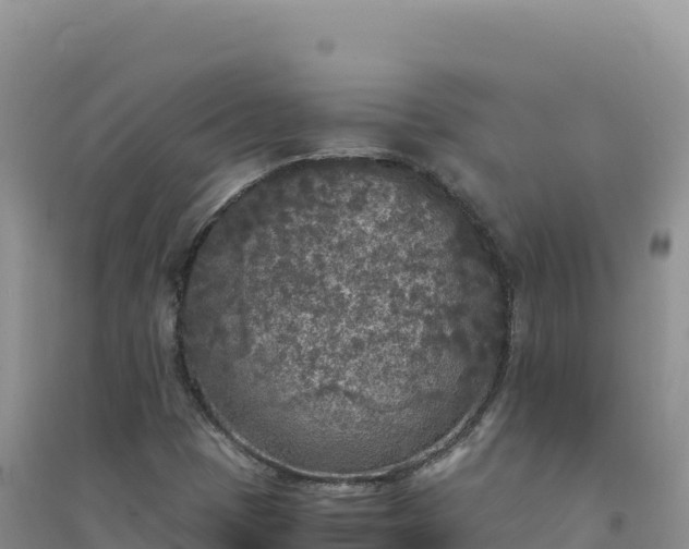 X0000094361401200711091504