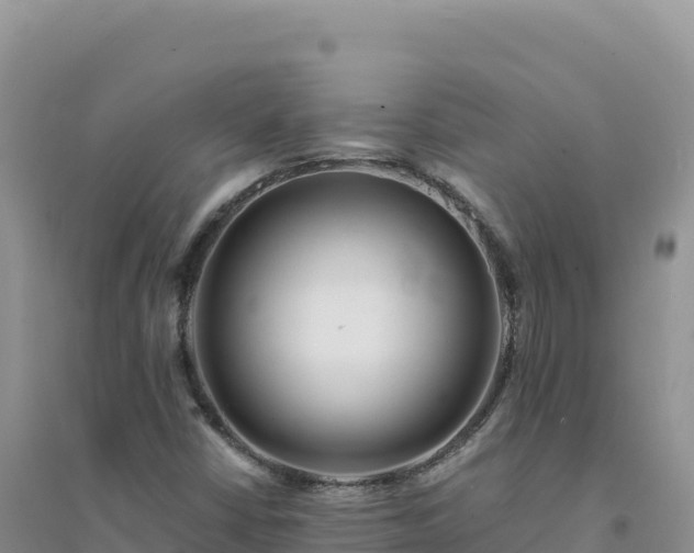 X0000094361402200711091504