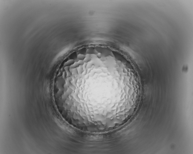 X0000094361403200711091504