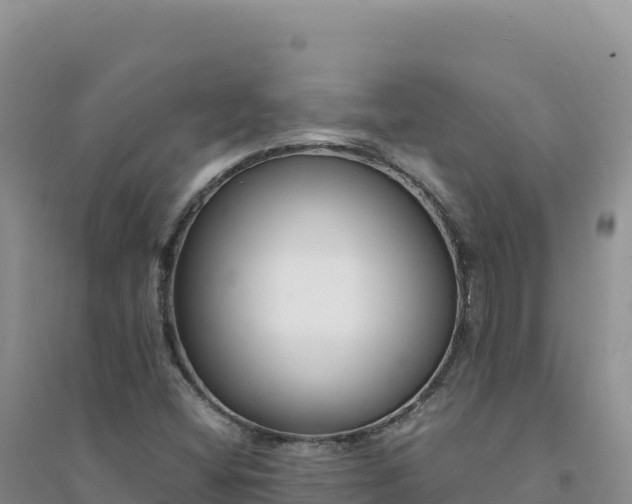 X0000094361404200711091504