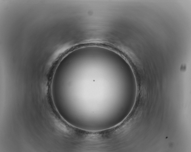 X0000094361406200711091504