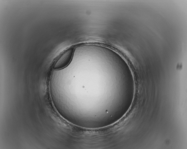 X0000094361407200711091504