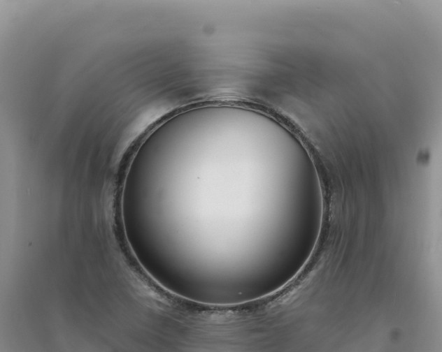 X0000094361410200711091504