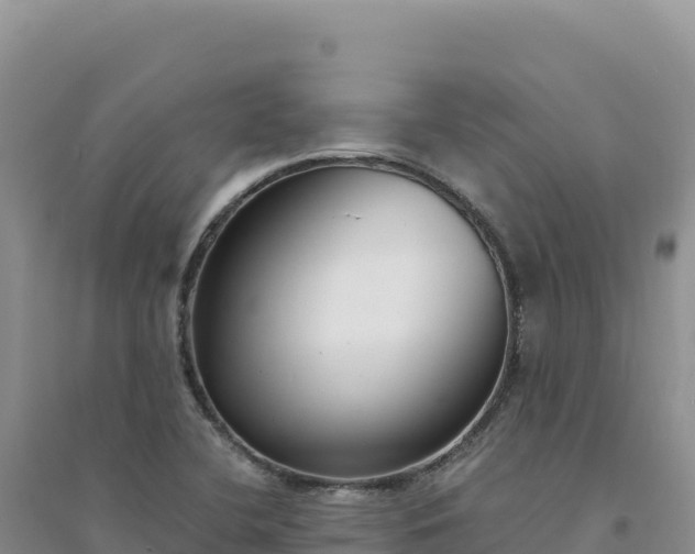 X0000094361412200711091504