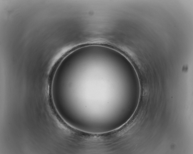 X0000094361414200711091504