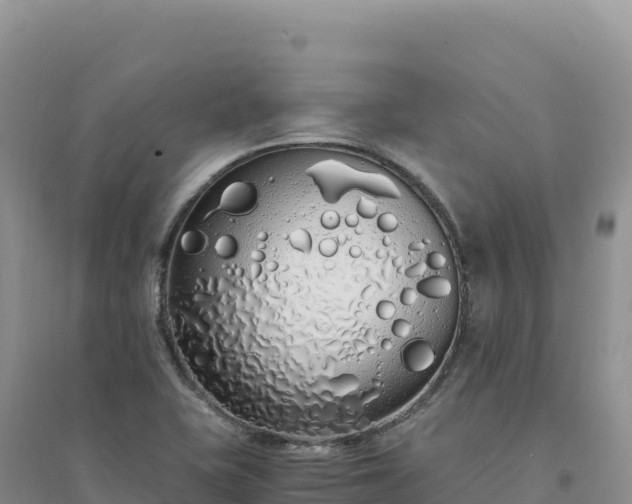 X0000094361415200711091504