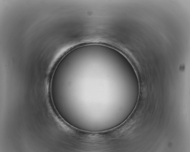X0000094361416200711091504