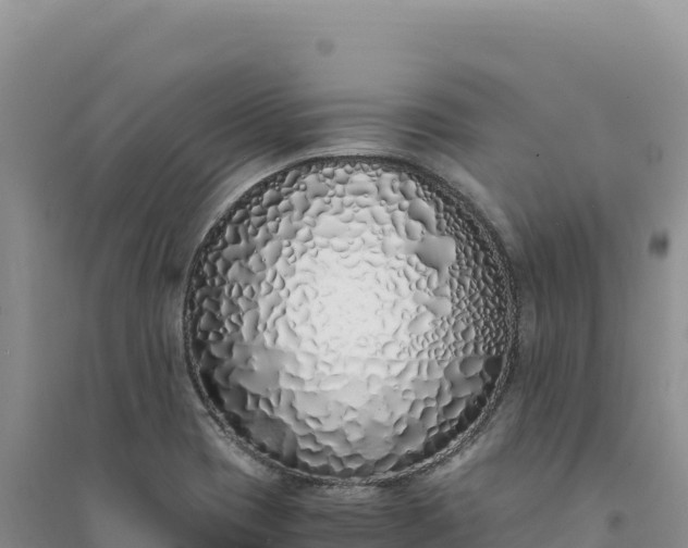 X0000094361417200711091504