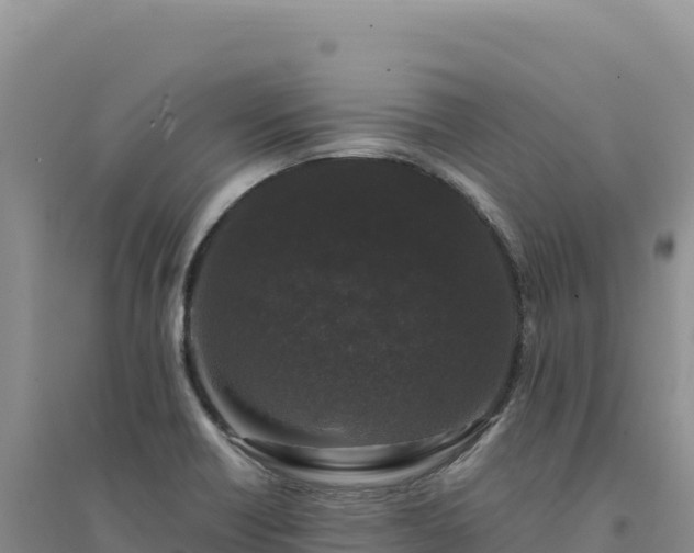 X0000094361418200711091504