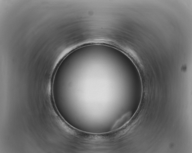 X0000094361420200711091504