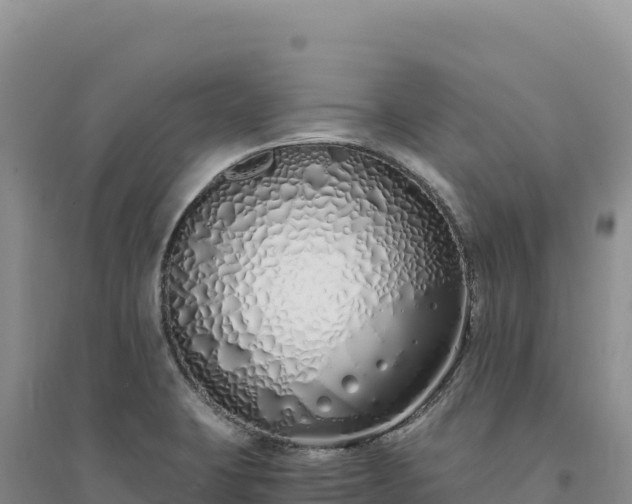 X0000094361423200711091504