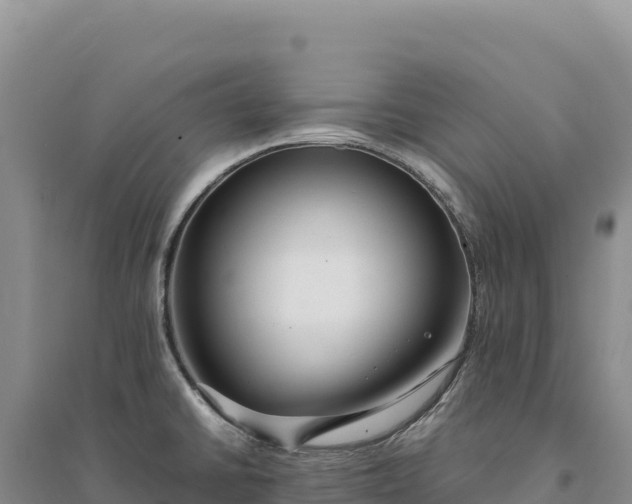 X0000094361430200711091505