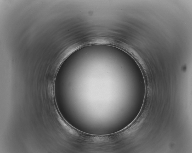 X0000094361433200711091505
