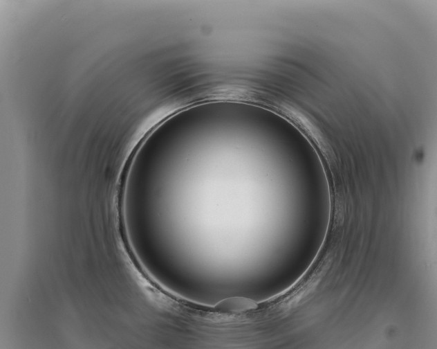 X0000094361434200711091505
