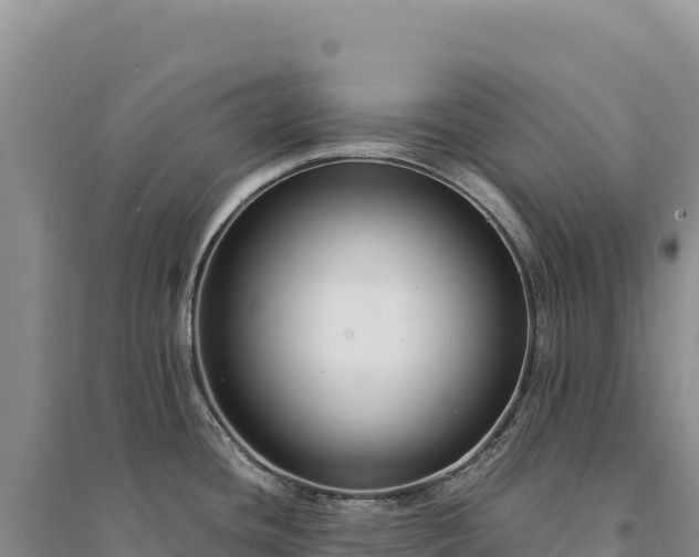 X0000094361436200711091505