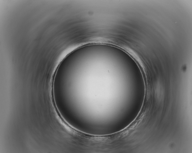 X0000094361437200711091505