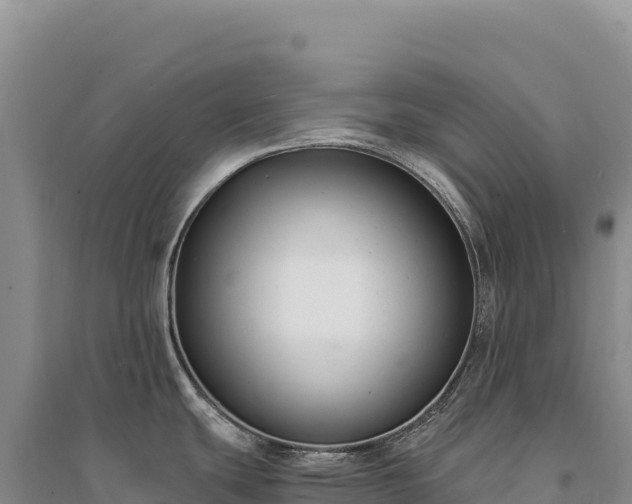 X0000094361439200711091505