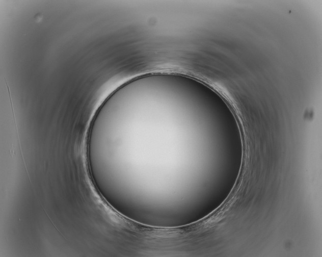 X0000094361440200711091505