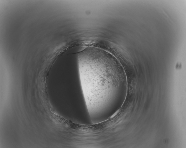 X0000094361441200711091504