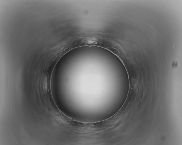 X0000094361442200711091504