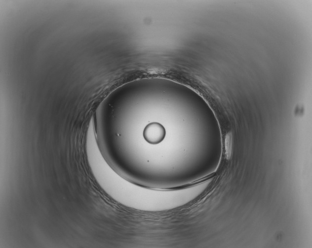 X0000094361443200711091504