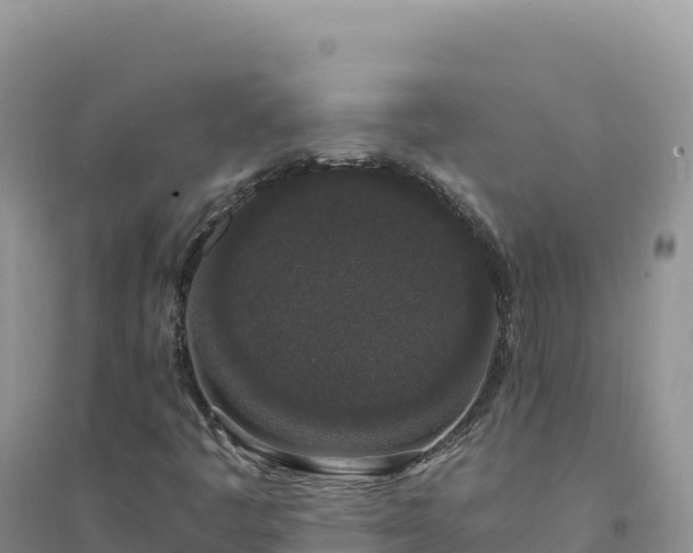X0000094361445200711091504