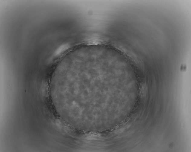 X0000094361446200711091504