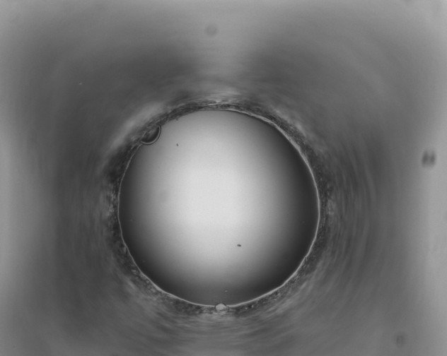 X0000094361447200711091504