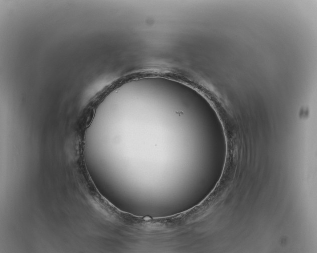 X0000094361448200711091504