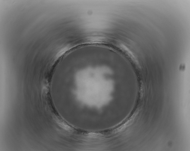 X0000094361449200711091504