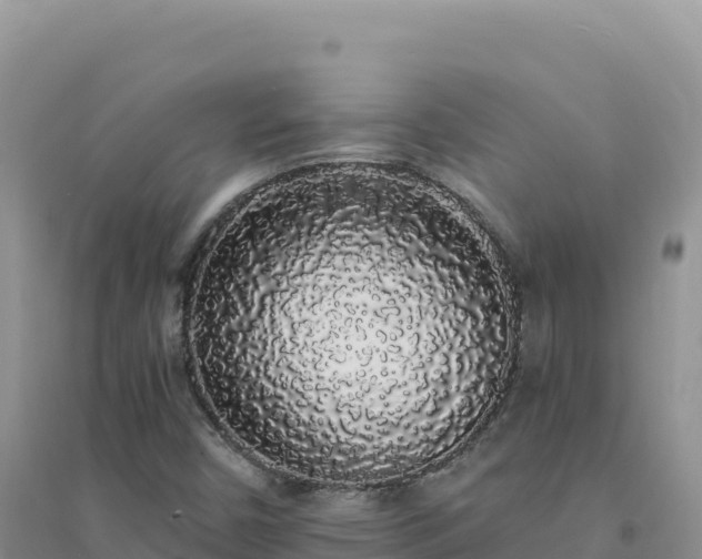 X0000094361450200711091504